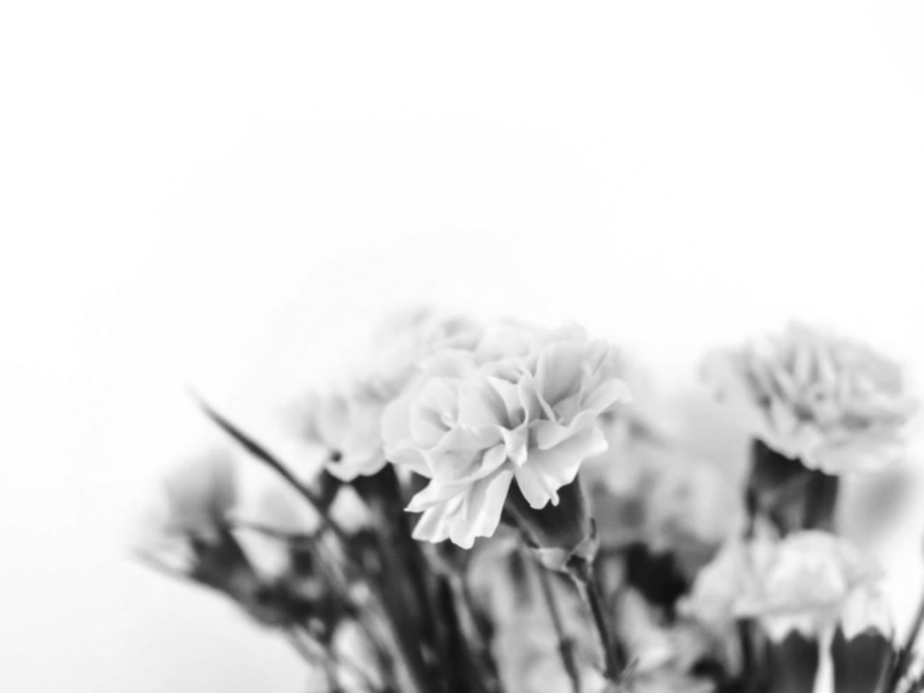 Close-up of wedding bouquet detail showing texture and color harmony